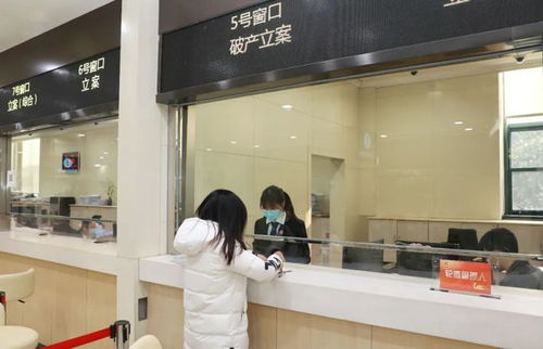 上海浦東法院受理破產審判庭成立后首案 聚焦計算機信息技術咨詢服務行業